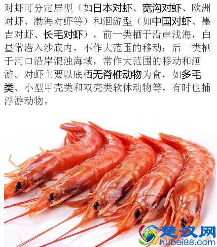 在农业养殖中，你知道对虾的呼吸器官是什么吗？