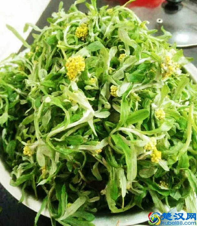 清明节一定要吃的一道菜，祈求风调雨顺五谷丰登，猪年行大运