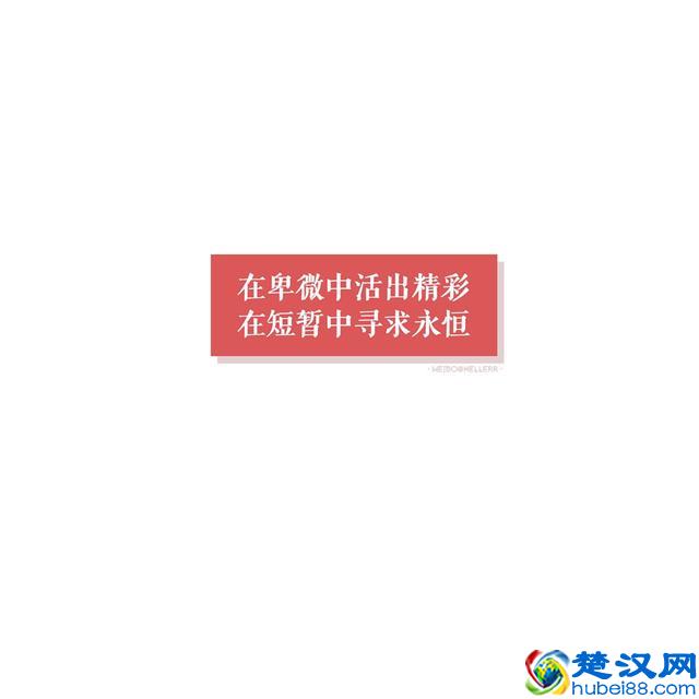 有了痔疮不用割，这几种食物每天吃一点，痔疮可能会慢慢消失