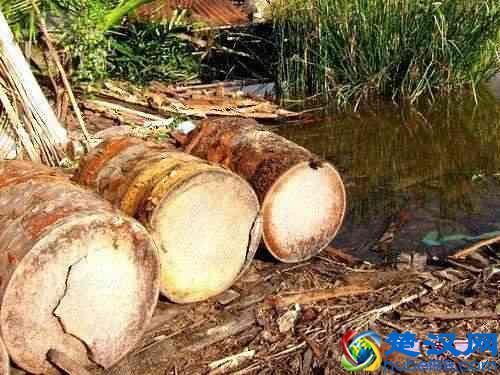 有了痔疮不用割，这几种食物每天吃一点，痔疮可能会慢慢消失