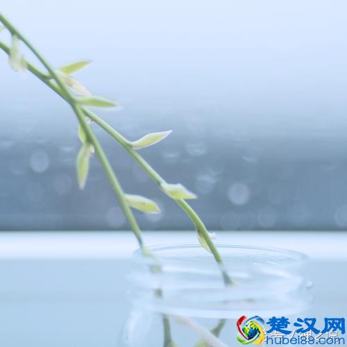 岁月蹉跎，生活不易