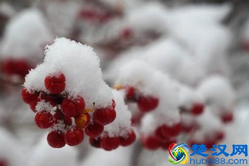 2018年冬至是几月几日星期几