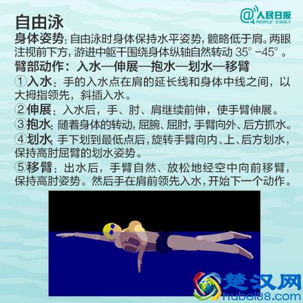 10分钟学会游泳的方法，学不学先放一边，收藏了再说！