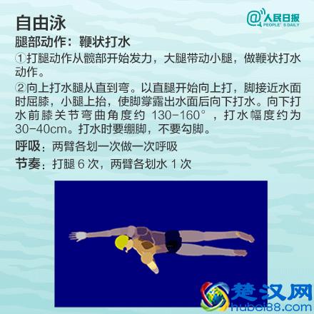 10分钟学会游泳的方法，学不学先放一边，收藏了再说！