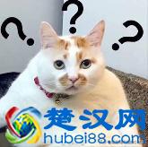 知识点｜电脑卡卡卡，好方法才是必杀技