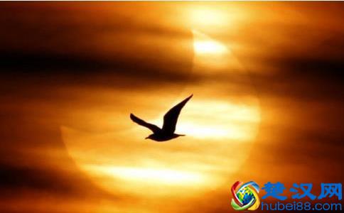 我们到底为了什么而活着？