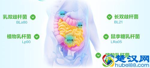 拉肚子腹泻怎么办？吃点益生菌好得快