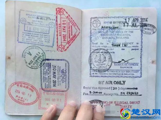 出境必备，签证、护照知识，这些你真的懂吗？（建议收藏）