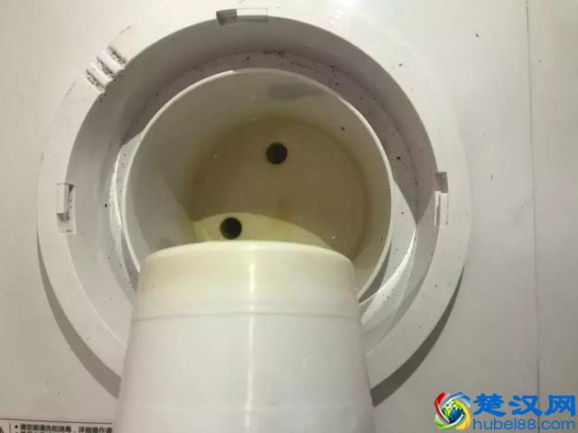 你每天在用的饮水机原来这么脏！学会这个方法，轻松喝到健康水