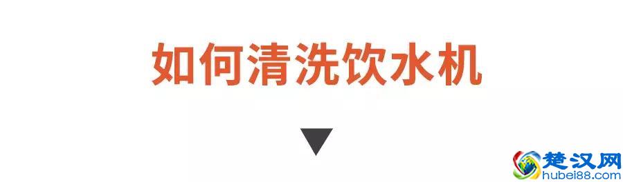 你每天在用的饮水机原来这么脏！学会这个方法，轻松喝到健康水