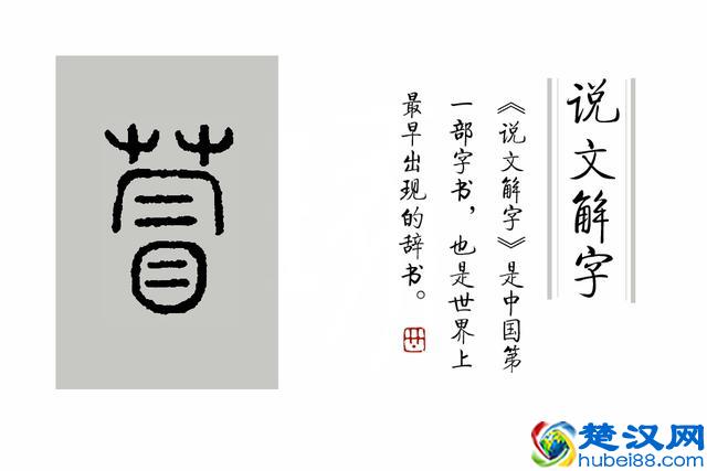 成语“如火如荼”中，“荼”是什么意思，为什么不读作茶？