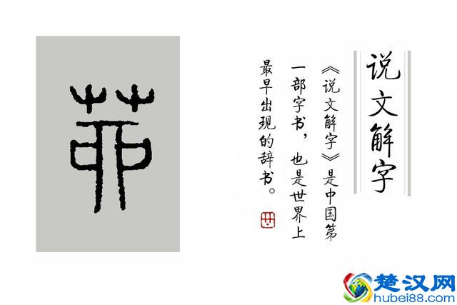 成语“如火如荼”中，“荼”是什么意思，为什么不读作茶？