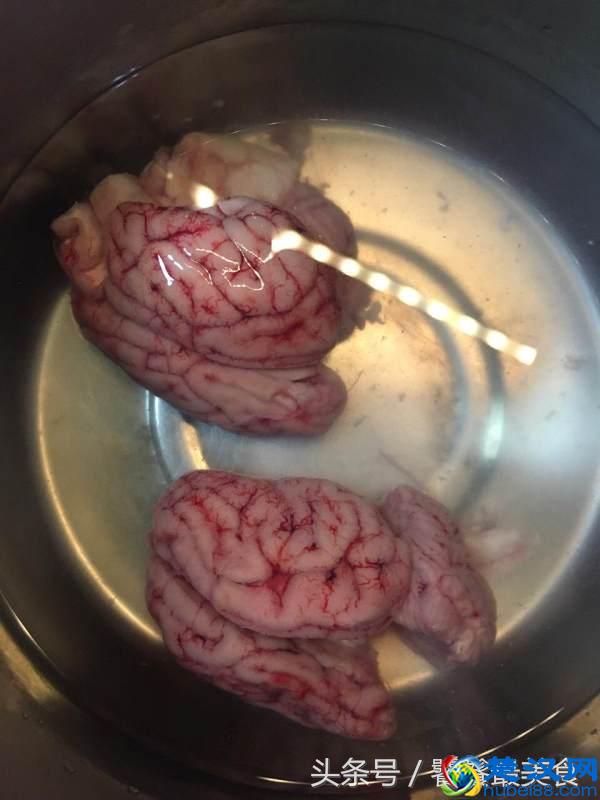 特色秘制烤脑花：朋友就凭这一道特色小吃，月入20000块钱！