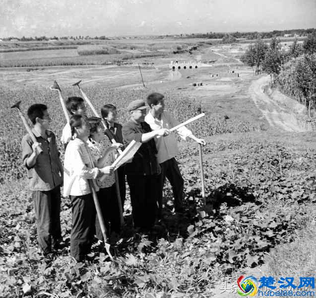 解密老三届，追忆那段激情燃烧的岁月