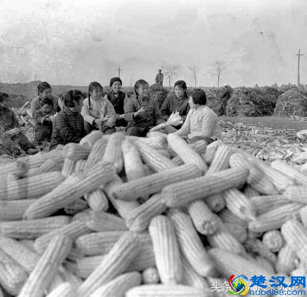 解密老三届，追忆那段激情燃烧的岁月