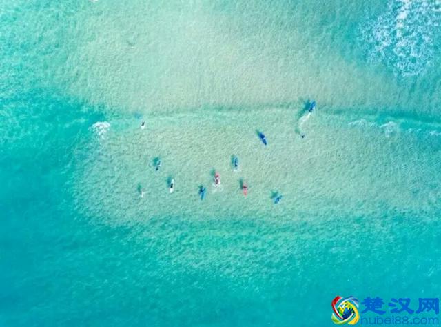 除了自渡 别人爱莫能助