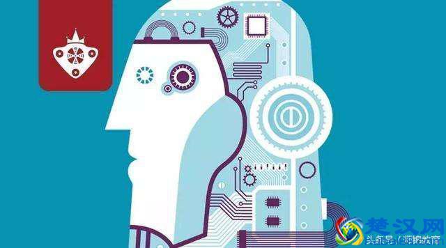 上大专也不怕，报这几个专业，毕业后的比本科生更吃香！