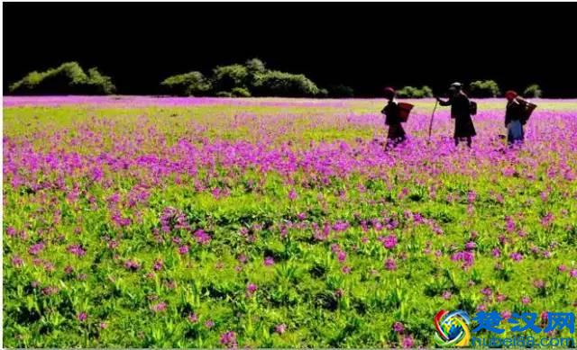 十月的泸沽湖，美轮美奂！