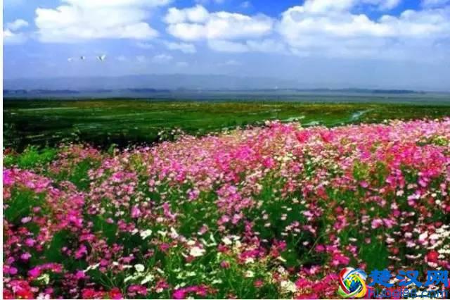 十月的泸沽湖，美轮美奂！