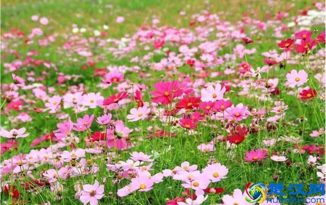 十月的泸沽湖，美轮美奂！