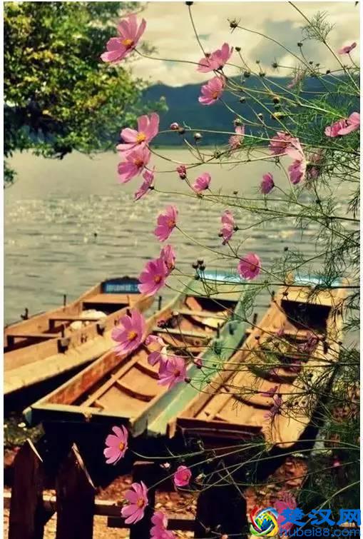 十月的泸沽湖，美轮美奂！