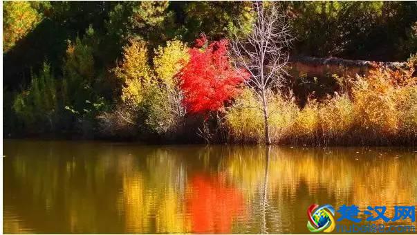 十月的泸沽湖，美轮美奂！