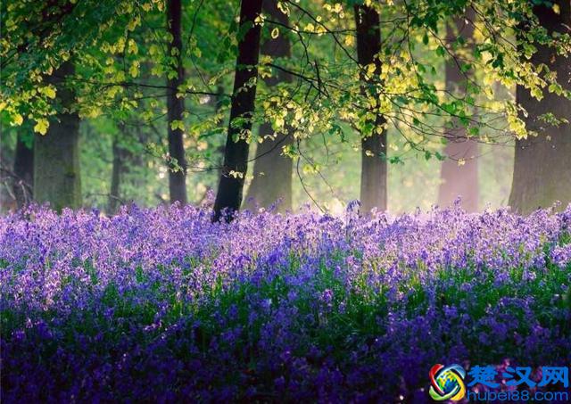 人活一世，得过且过还有什么意思；一句话，做人不能怂就是干