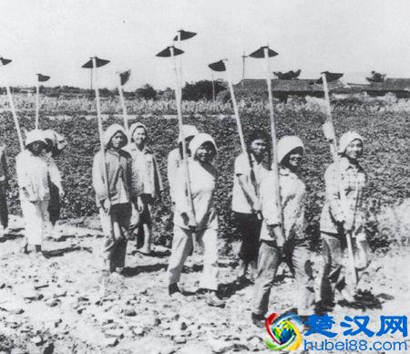 我国的基尼系数是多少?一文看懂我国贫富分化是怎么的