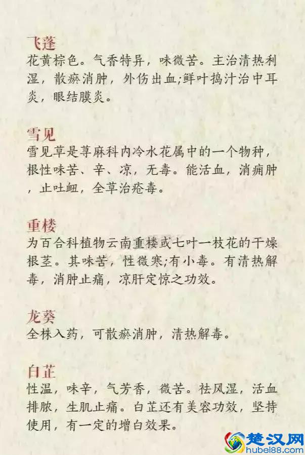 好听的中药名，用来做网名也是极好的！