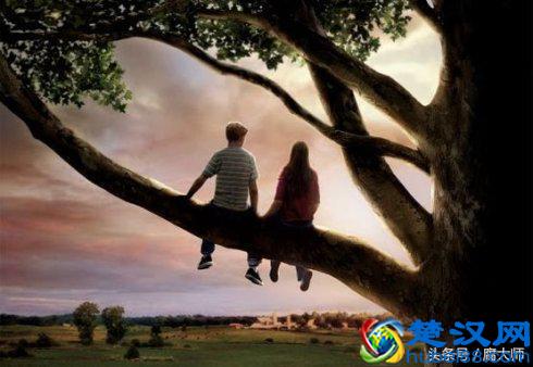 《比悲伤更悲伤的故事》哀莫大于心死，在爱情路上，千万要走好！