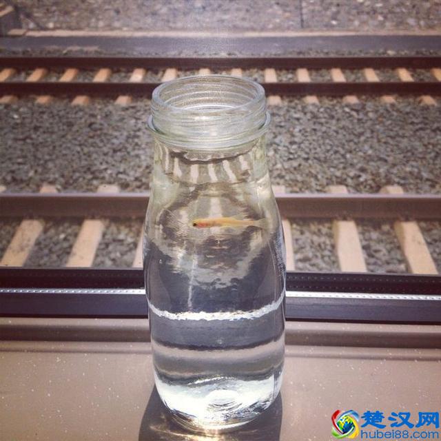 那些20岁嗤之以鼻,30岁却深信不疑的道理