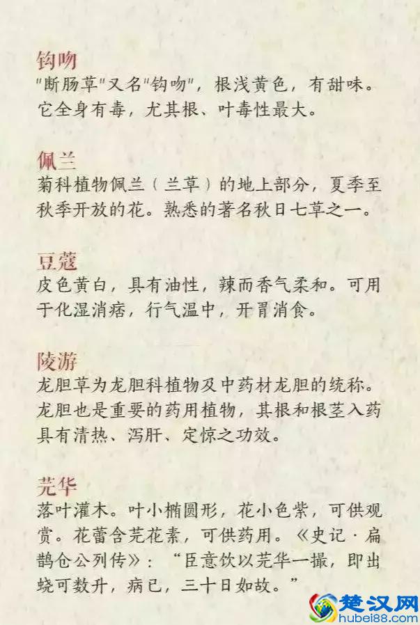 好听的中药名，用来做网名也是极好的！