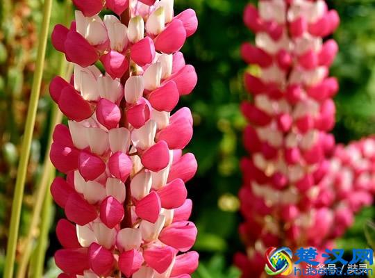 肠胃不好老是有嗳气 把多余气体排出来