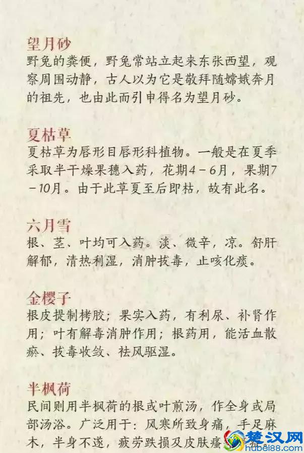 好听的中药名，用来做网名也是极好的！