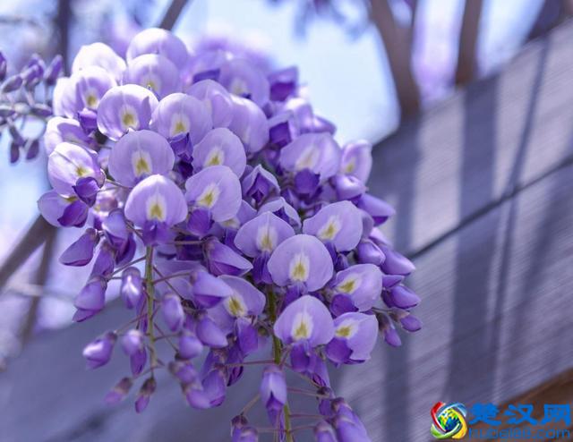 真正地放下，是心如止水