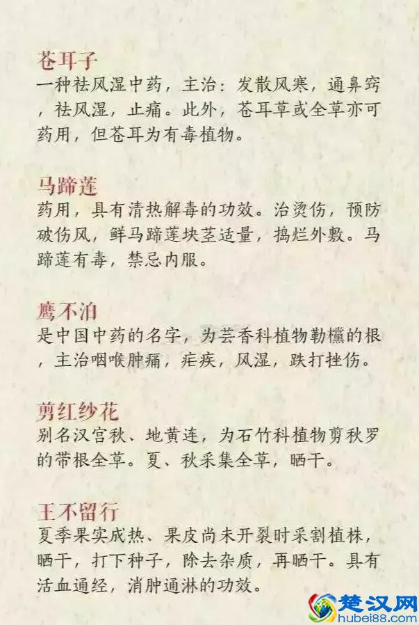 好听的中药名，用来做网名也是极好的！