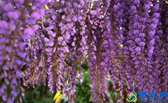 真正地放下，是心如止水