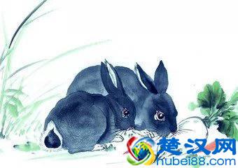 香港风水大师麦玲玲教你找贵人,12生肖改命十大方法