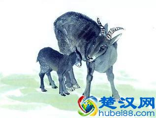 香港风水大师麦玲玲教你找贵人,12生肖改命十大方法