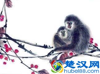 香港风水大师麦玲玲教你找贵人,12生肖改命十大方法