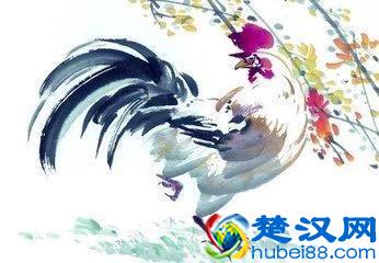 香港风水大师麦玲玲教你找贵人,12生肖改命十大方法