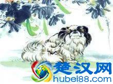 香港风水大师麦玲玲教你找贵人,12生肖改命十大方法