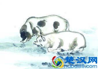 香港风水大师麦玲玲教你找贵人,12生肖改命十大方法