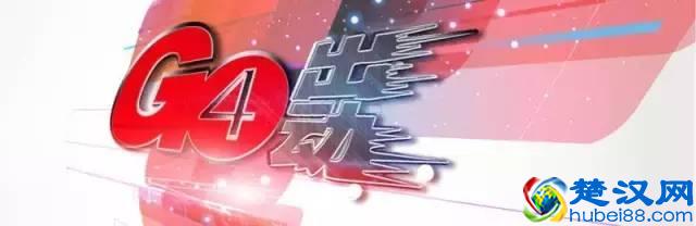 样子与钻石相似，身价却大不同？专家带你了解“莫桑钻”！