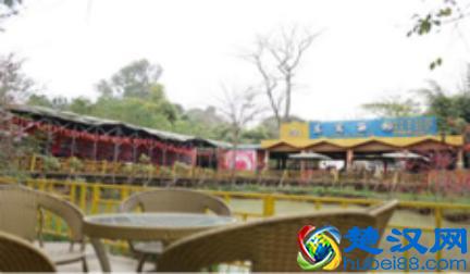 农家乐成农村创业热门项目，怎么才能把农家乐做的更好呢？