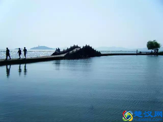 100块钱在上海能干什么？看完你就知道