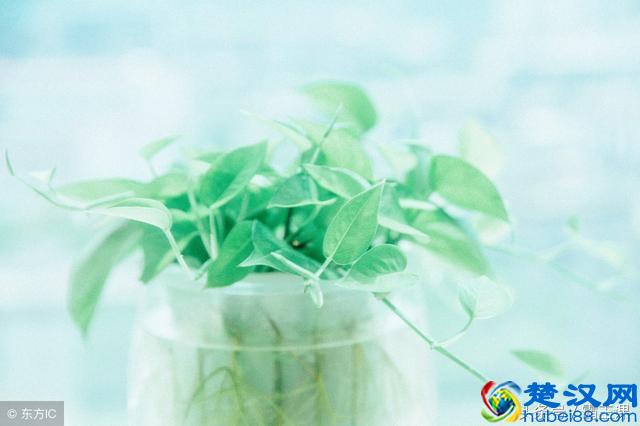 未来几年这三个行业依旧越来越赚钱，离职不干就是犯傻！值得一看