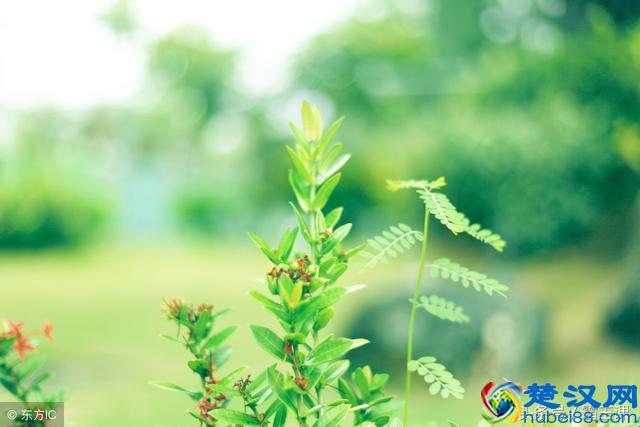 未来几年这三个行业依旧越来越赚钱，离职不干就是犯傻！值得一看