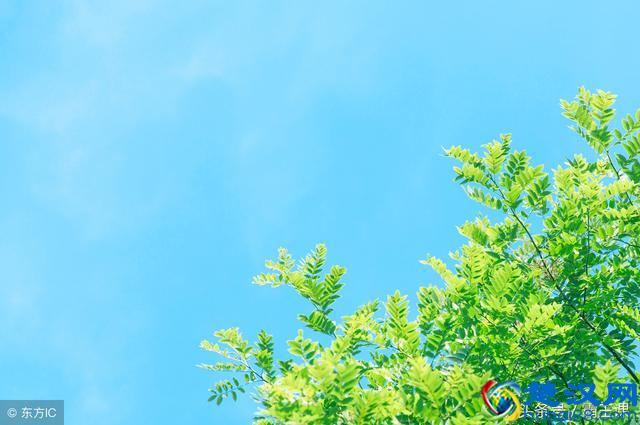 未来几年这三个行业依旧越来越赚钱，离职不干就是犯傻！值得一看