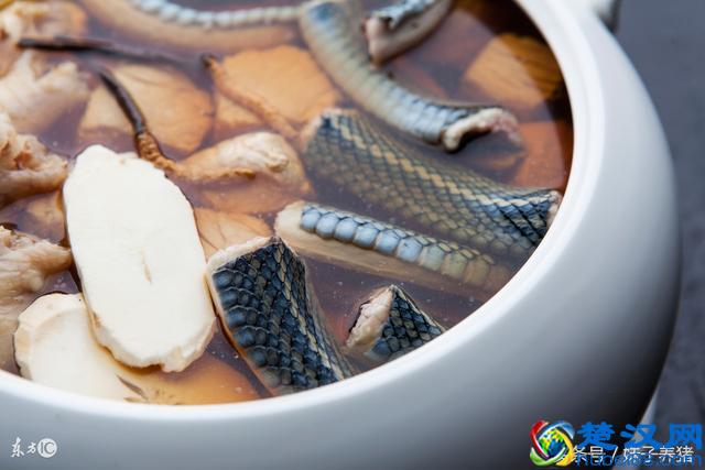 农村这些东西这么赚钱,农民你敢去养吗?